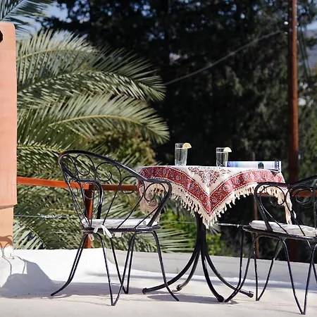 Palm Tree Oriental House And Homestay بيت ضيافة Polis