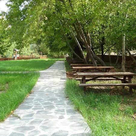 Πανσιόν Palm Tree Oriental House And Homestay *